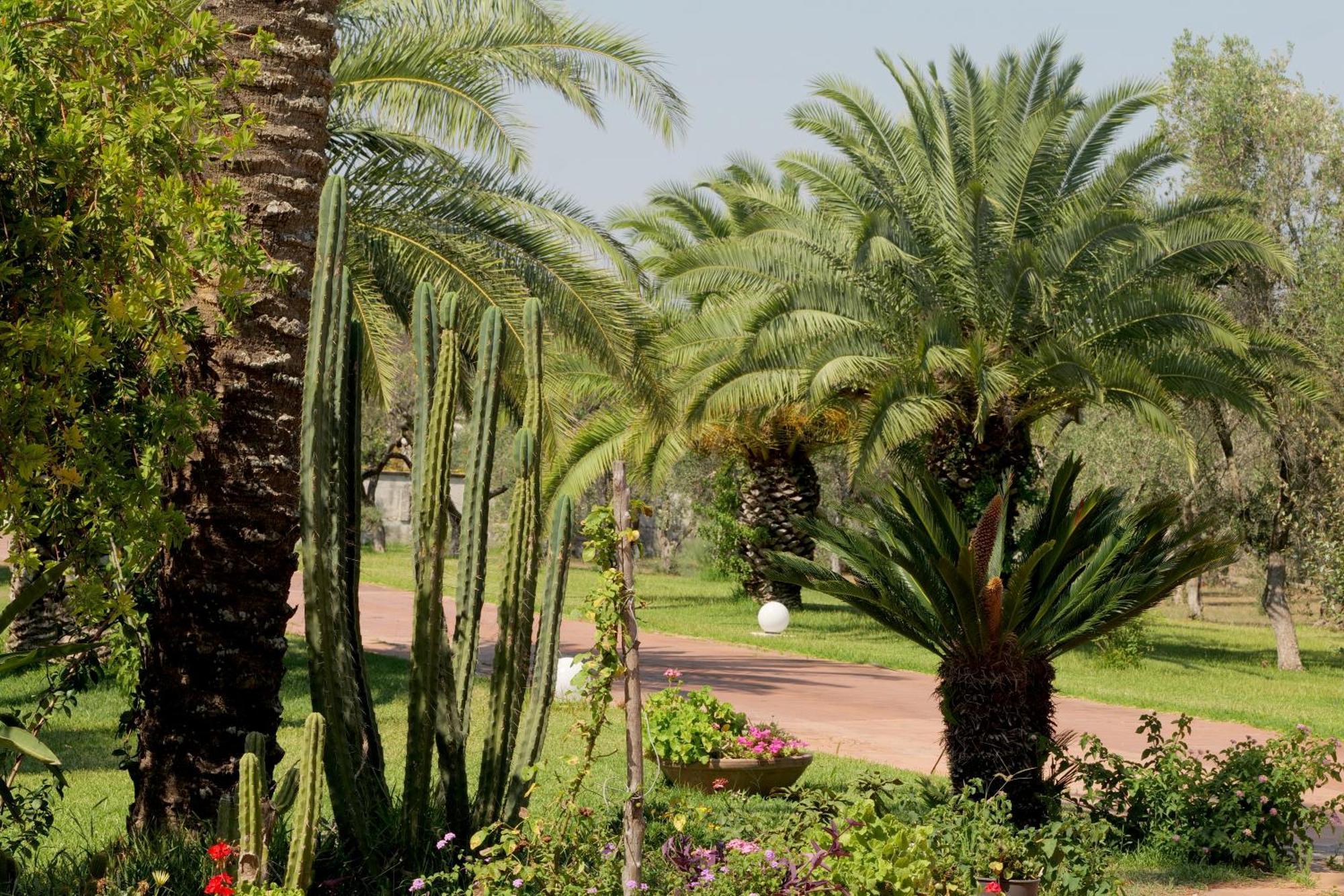 Tenuta Ricco With Pool And Garden Cursi Exterior foto