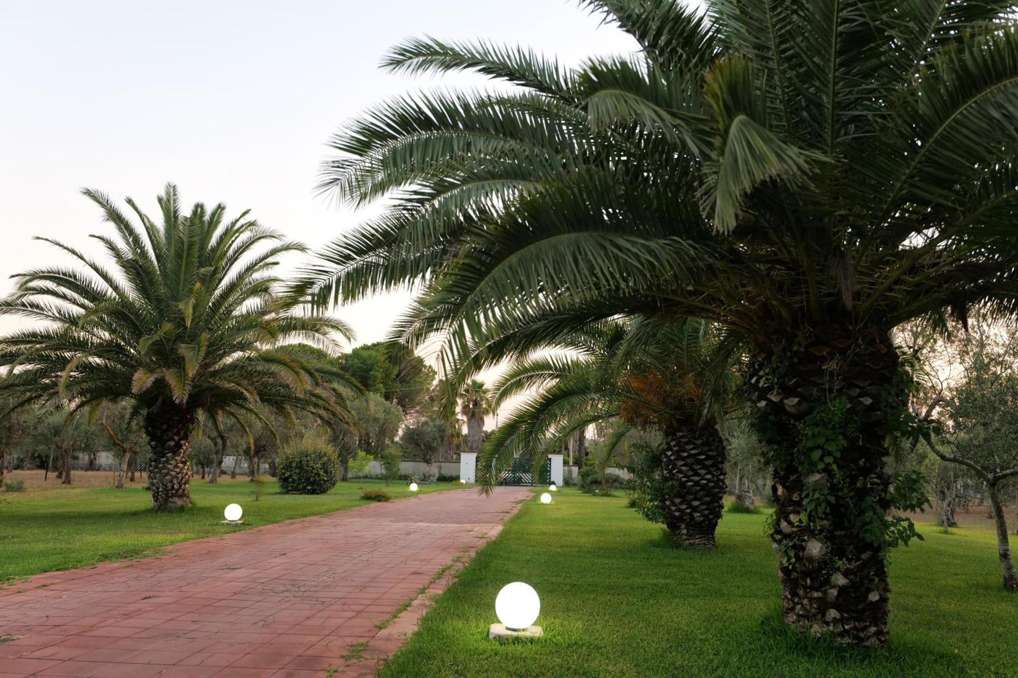 Tenuta Ricco With Pool And Garden Cursi Exterior foto
